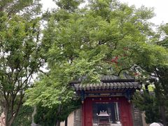 -蓬莱阁景区