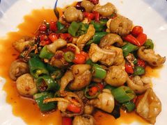 双椒肥肠-百年粉蒸牛肉