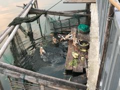 -君豪蟹都·湖景·农家乐(蟹舫苑店)
