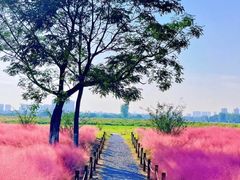 -汉长安城未央宫国家考古遗址公园