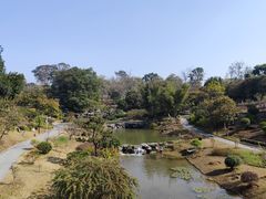 -东莞植物园