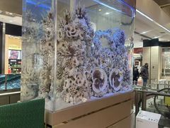 -远大购物中心(南岗店)