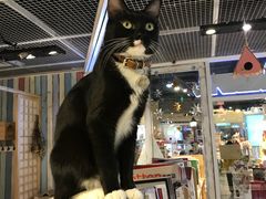 -小时光咖啡馆(开森度假森林店)