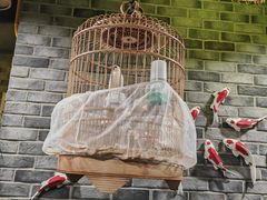 -常赢三兄弟·清真涮肉·清真炒菜(朝阳新城店)