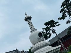 -天津大悲禅院