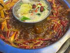 -金鼎雪山牦牛杂火锅(理县总店)