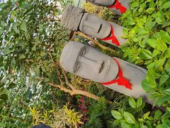 -南宫五洲植物乐园