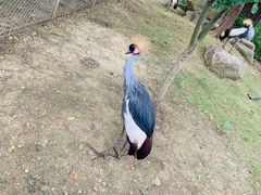-上方山森林动物世界
