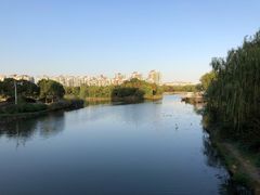 -新江湾城公园