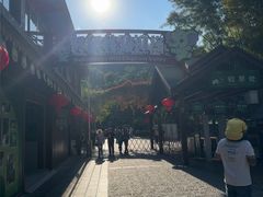 -野象谷景区