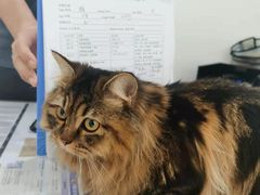 -荔康动物医院(康王北路店)