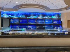 -粤珍轩.创始店.始于2001(含光门店)