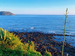 -漳州滨海火山岛自然生态风景区
