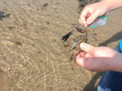 -青岛第三海水浴场