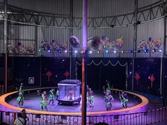 -深圳野生动物园