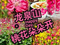 -桃源山庄·水蜜桃采摘·柴火鸡·烧烤团建(龙泉山店)