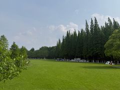 -宜兴龙背山森林公园