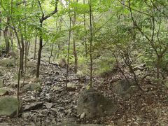 -阳台山自然风景区
