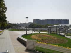 -紫荆广场·花漫里