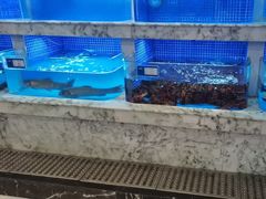 -香山湖渔家大院