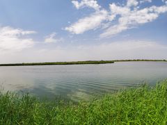 -国强手抓(西夏区店)