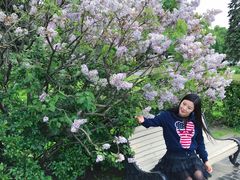 -莫斯科大学