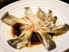 -武汉武昌威斯汀酒店-知味自助餐厅