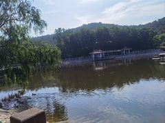 -北岭山森林公园