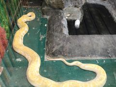 -上海大自然野生昆虫馆(东方明珠·爬宠昆虫探索中心)