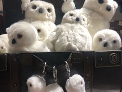 -九又四分之三站台哈利波特商店
