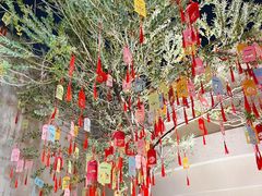 -欢乐海岸水秀剧场
