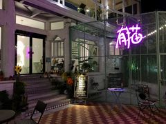 门面-有猫主题·治愈系猫咖(曾厝垵店)
