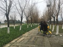 -艾溪湖湿地公园