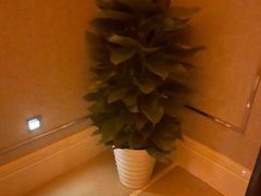 -花湖会所·高端水疗商务泡浴SPA(高新店)