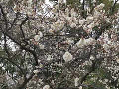 -热田神宫