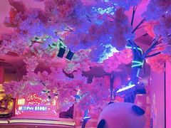 -巴特餐饮6加1音乐餐吧·新疆菜