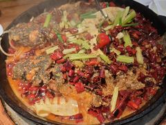 -老板恋上鱼(印象城店)