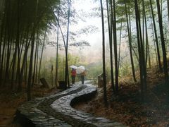 -井冈山革命烈士陵园