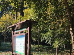 -上海佘山国家森林公园天马山园