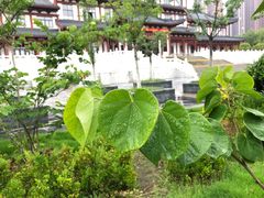 -汤显祖纪念馆