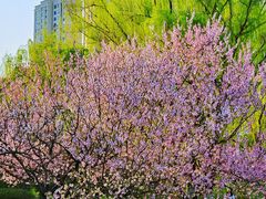-白塘生态植物园