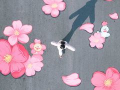 -七桥瓮公园