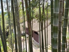 -会稽山峡洞漂流-上青古道