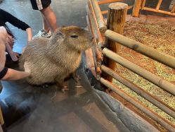 -Zoolung Zoolung动物主题公园(海信广场店)