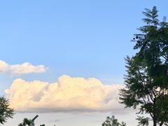 -长虫山生态公园风景林