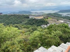 -黄贤森林公园