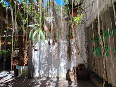 -中国科学院西双版纳热带植物园