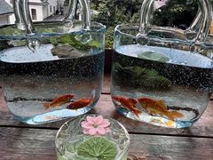 -马灯部落·西湖边的创意山景餐厅(虎跑动物园店)