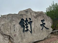 -石老人观光园