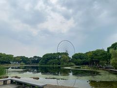 -蠡湖大桥公园